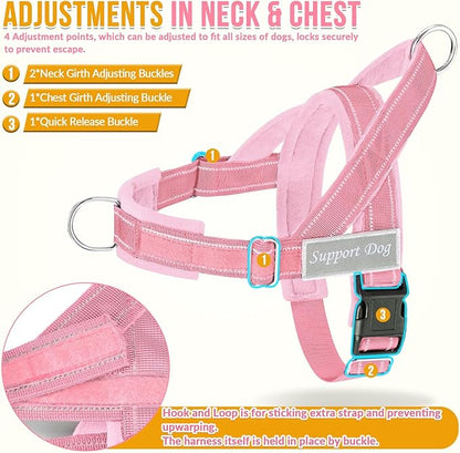 SlowTon No Pull Dog Harness - Heavy Duty Dog Harness and Leash Set for Medium Large Dogs, Reflective Tactical Harness with Soft Padded and Front Clip for Easy Walk and Training (PI, S)