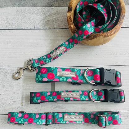 Lucky Love Dog - Adjustable Dog Collar and Leash Set with Easy Click Buckle for Small Dogs, Durable, & Comfortable Collar for Male & Female Dogs, Puppies & Adult Ones - Penny Combo, XS