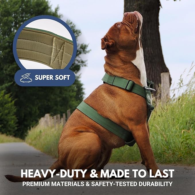 Spark Paws No Pull Dog Harness for Large Dogs, Heavy Duty Dog Harness for Big Strong Breeds, Adjustable, Y Shaped Padded Halter Design with Front Clip - Solid Green – L