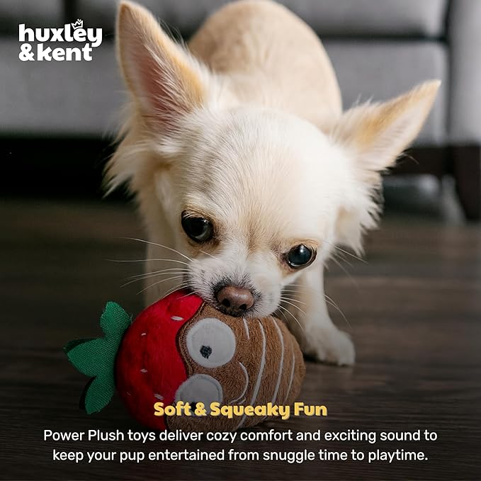 Huxley & Kent Tiny Tuff Plush Dog Toy w/Squeaker - Stuffed Toy for Small Dogs - Cute, Funny & Tough Toy for Fetch & Play - Tiny Tuff Chocolate Covered Strawberry