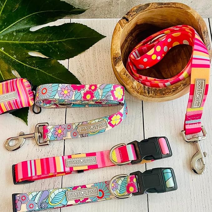 Lucky Love Dog Leash - Colorful Stripes, Yellow, Pink, Blue - Cute Female Dog Leash (Large, Molly)