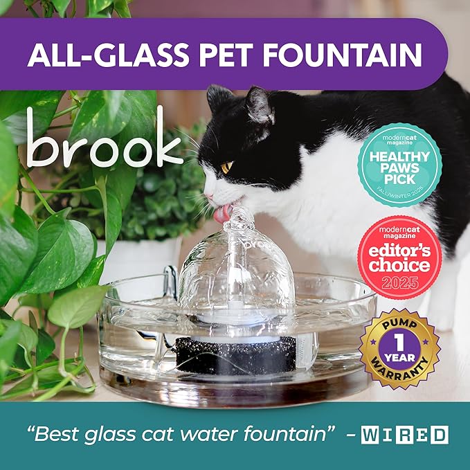 Brook Glass Pet Fountain (90oz/2.7L) – Cat & Dog Water Fountain – Glass Cat Fountain & Automatic Water Dispenser for Drinking