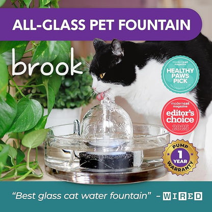 Brook Glass Pet Fountain (90oz/2.7L) – Cat & Dog Water Fountain – Glass Cat Fountain & Automatic Water Dispenser for Drinking