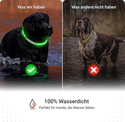 PAJ GPS – PAJ Light – Glowing LED Collar for Dogs – Cut-to-Fit (20–70 cm) – 100% Waterproof – 7 Color Modes – Night Safety & Visibility