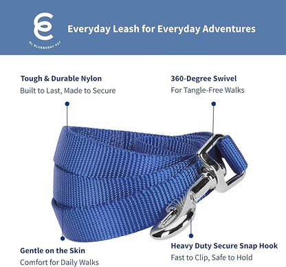 Blueberry Pet Essentials Marina Blue Dog Leash for X-Small -5' * 3/8" Dogs | Heavy Duty Nylon Lead | Lightweight Puppy & Cat Leash for Walking & Training