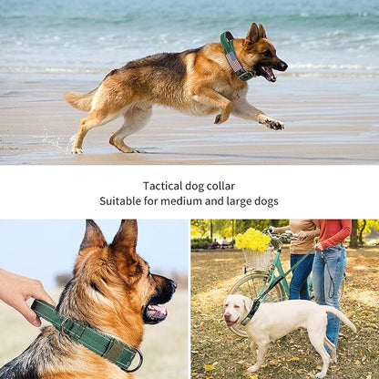 Annchwool Tactical Dog Collar for Medium and Large Dog,Adjustable Military Dog Collar with Soft Padded Handle,Heavy Duty Double Buckle Design(Green,XL)