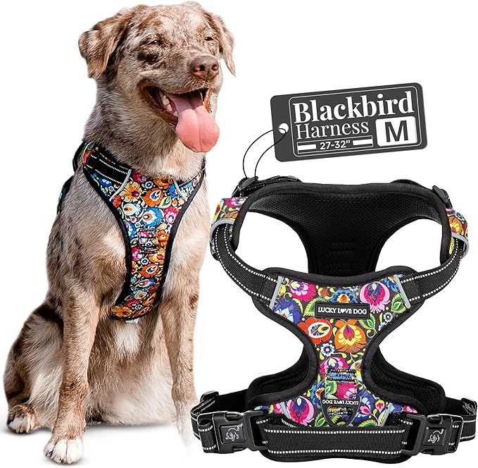 Lucky Love Dog No Pull Dog Harness, Adjustable and Easy to Walk, Cute Patterned Harness for Medium Male & Female Dogs - Blackbird, Medium
