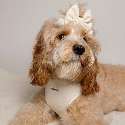 Medium Dog Harness Set – Cute No Pull, All Weather, Breathable Harness and Leash Set with Collar, Bandana, Sailor Bow & Poop Bag Holder – Adjustable, Soft & Stylish - Cream Hearts on Jacquard Fabric