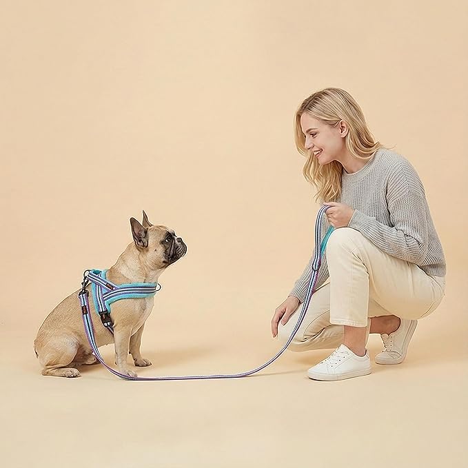 Didog Soft Flannel Padded Dog Vest Harness, No Pull/Quick Fit Reflective Dog Strap Harness, Easy for Training Walking (S:Chest 18-22", Mixed-Blue)