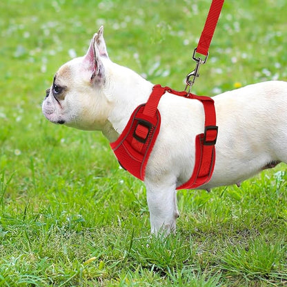 PUPTECK Small Dog Harness and Leash Set, No Pull Adjustable Puppy Cat Harness, Reflective Soft Mesh Pet Vest Small Sized, Red, M