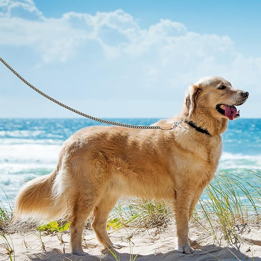 Mile High Life Rope Leash with Genuine Leather Connection, 6 FT/5 FT/4 FT, Heavy Duty Leash for Small Medium & Large Dogs(Black Khaki,72 Inch)