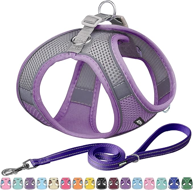 AIITLE Dog Harness, No-Pull Cat Harness with a Leash, Adjustable Reflective Dog Vest, Cat Harness Escape Proof, Outdoor Walking, Running,Training for Extra Small Dogs and House Cats Purple XXXS