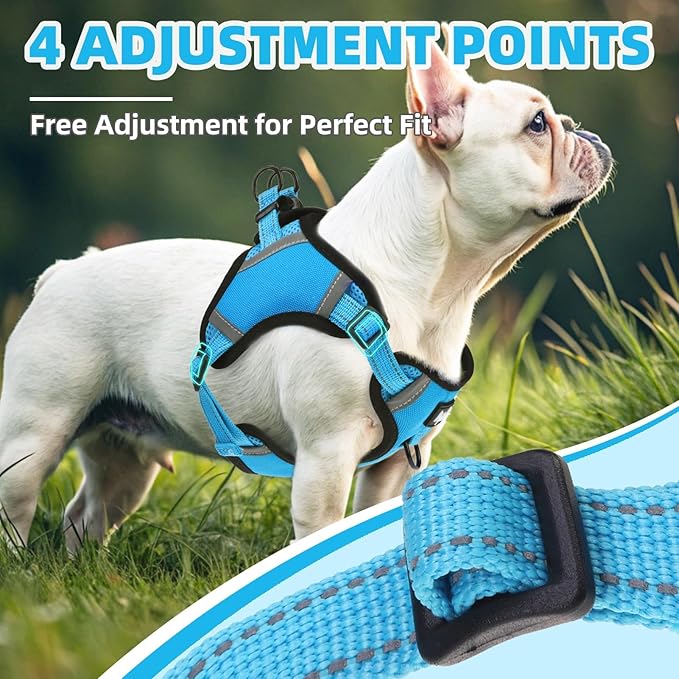 PUPTECK No Pull Dog Harness Small Sized Dog, Adjustable Reflective Escape Proof Easy Control, Comfortable Soft Padded Step in Pet Vest Harness, Blue, XS