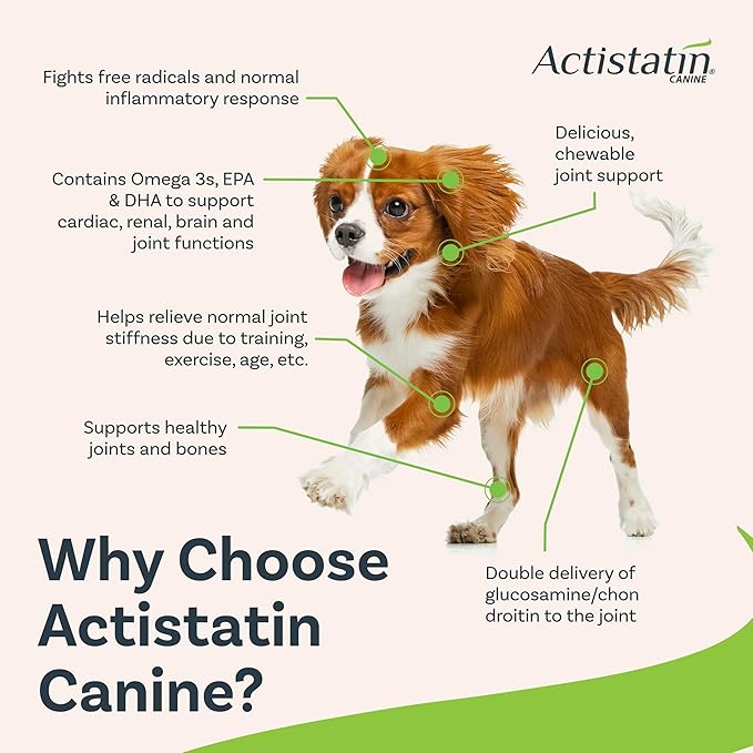 Actistatin Canine Small Dog Soft Chews, 120ct – Patented Extra-Strength Joint, Cartilage, Soft Tissue Supplement: Glucosamine, Chondroitin, Manganese, MSM, L-Carnitine – High Absorption, Fast Results