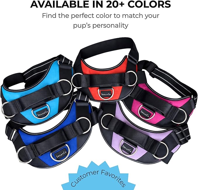 ShawnCo Essential Dog Harness, No-Pull Pet Vest with 3 Leash Clips, No Choke, Reflective, Adjustable and Padded, for Easy Walking and Training for Small, Medium and Large Dogs (Military Camo, S)