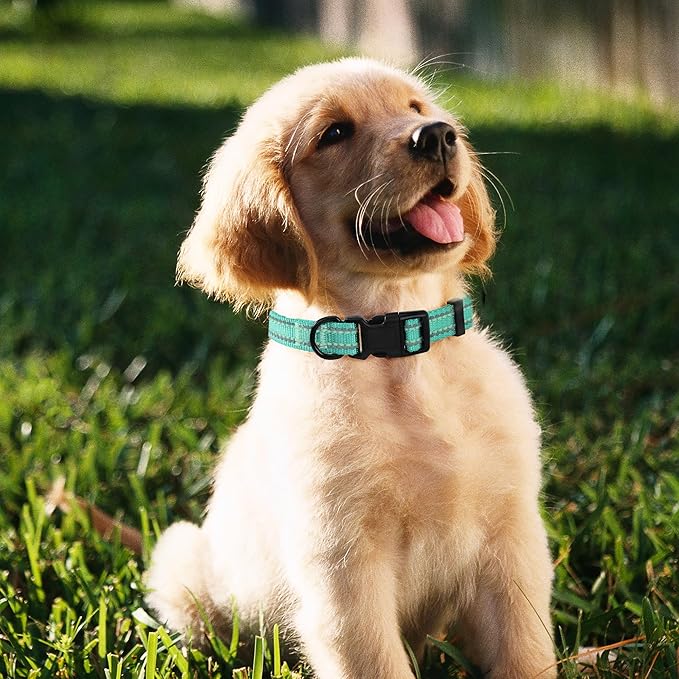 Mile High Life Reflective Dog Collar, Basic Dog Collars Adjustable Quick Release, Soft Nylon Pet Collar with Metal D-Ring for Small Medium Large Dogs (Green, M Neck13-17")