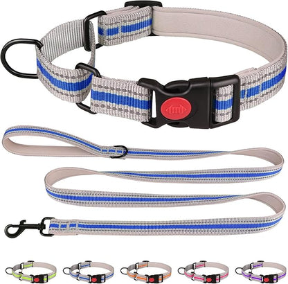 Martingale Collar for Dogs,Soft Neoprene Padded Reflective Martingale Collar and Leash Set Safety Buckle Nylon Martingale Dog Collars for Large Dogs(Blue&L)
