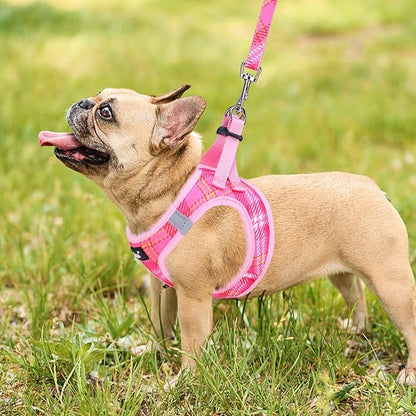 PUPTECK Dog Harness and Leash Set for Small Medium Dogs No Pull Step-in Soft Mesh Puppy Cat Vest Harnesses Reflective at Night, Plaid Pattern Pink XS