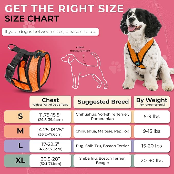 Gooby Comfort X Head-in Harness - Orange, Small - No Pull Dog Harness with Patented Choke-Free X Frame for Small Breeds - Indoor and Outdoor Use