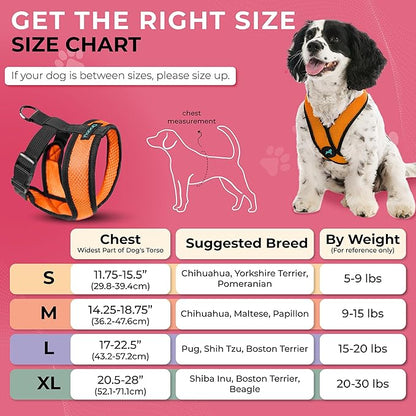 Gooby Comfort X Head-in Harness - Orange, Small - No Pull Dog Harness with Patented Choke-Free X Frame for Small Breeds - Indoor and Outdoor Use