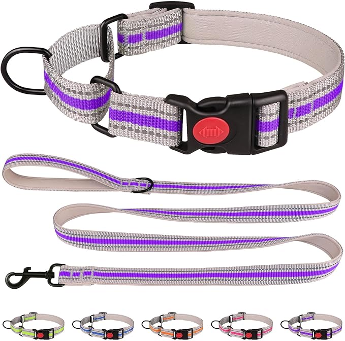 Martingale Collar for Dogs,Soft Neoprene Padded Reflective Martingale Collar and Leash Set Safety Buckle Nylon Martingale Collar for Small Dogs(Purple&S)