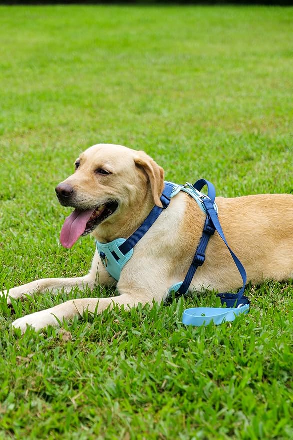 No Pull Dog Harness Leash and Collar Set, Soft Adjustable Dogs Vest Reflective and Comfortable Handle Blue Medium
