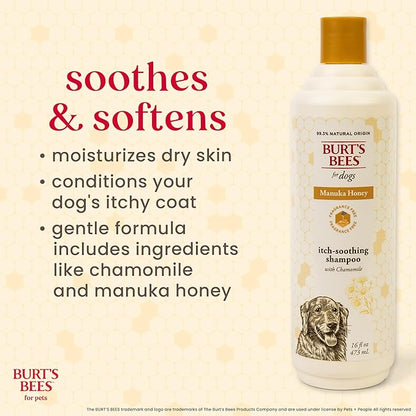 Burt’s Bees for Pets Itch Shampoo with Manuka Honey and Chamomile for Dogs, Itch Relief for Dogs - Naturally Derived Ingredients, 16 Fl Oz