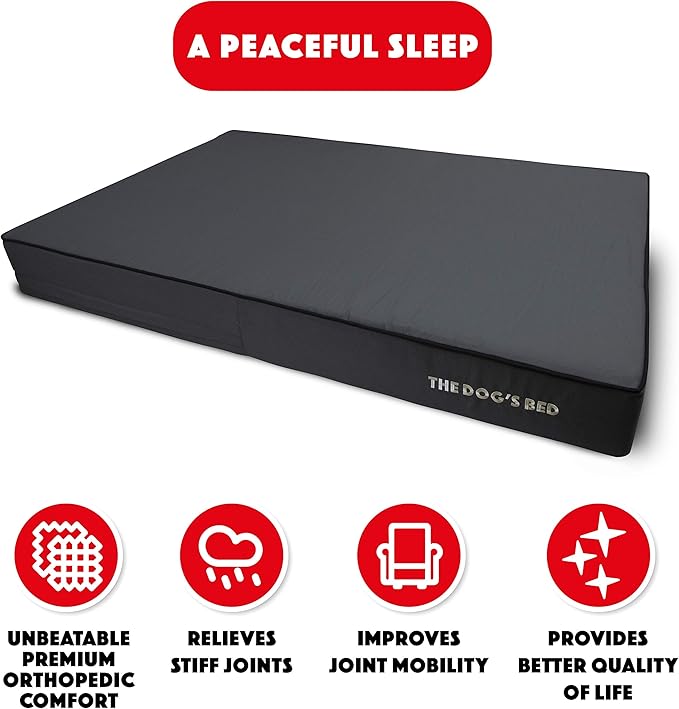 The Dog’s Bed Orthopedic Memory Foam Dog Bed, XXL Grey & Black, Waterproof, Supportive Dog Bed with Replaceable Covers, Veterinary Approved