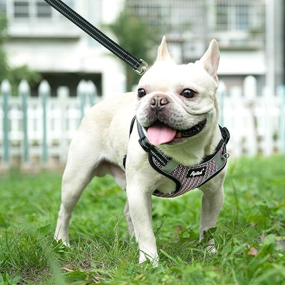 PUPTECK Dog Harness and Leash Set Medium Sized, Step in No Pull Adjustable Puppy Cat Harness Reflective Pet Vest
