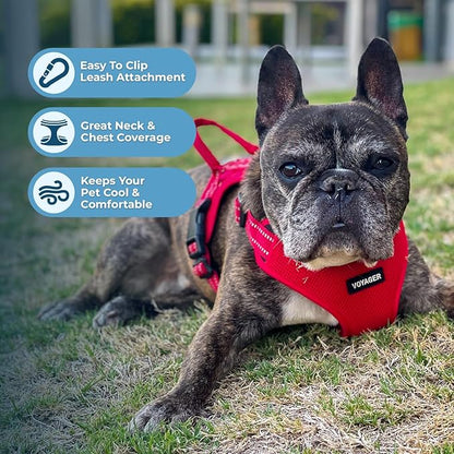 Best Pet Supplies Voyager Adjustable Step-in Flex Breathable Mesh Dog Harness for Small Medium Large Dogs Leash Set (Red), L