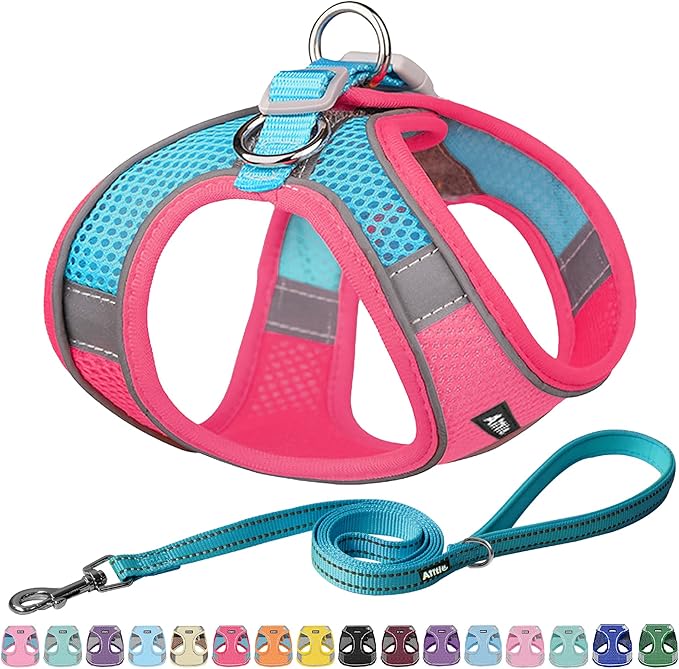AIITLE Dog Harness, No-Pull Cat Harness with a Leash, Adjustable Reflective Dog Vest, Cat Harness Escape Proof, Outdoor Walking, Running,Training for Extra Small Dogs and House Cats Hot Pink XXXS
