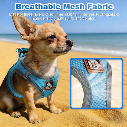 Dog Harness Medium Sized Dogs, Puppy Harness and Leash Set for Training, Running, Walking, Suitable for Small and Medium Dog Vest, Blue, M