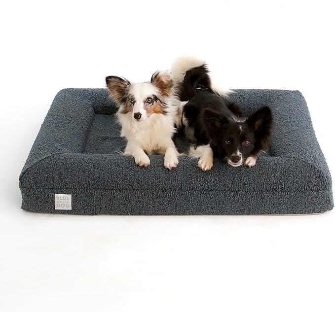 Bluewater Dog Luxury Boucle Orthopedic Memory Foam Dog Bed with Waterproof Liner and Machine Washable Cover with YKK Zippers (Medium, 37" L x 30" W x 6" Th, Ocean Blue)