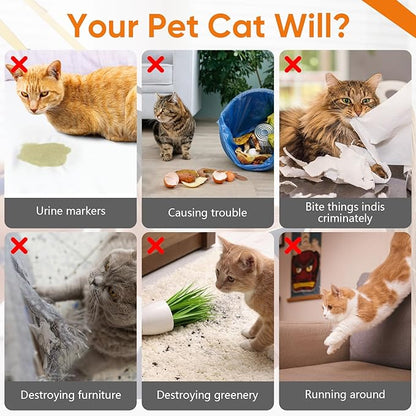 TPBEHMZ Cat Deterrent Spray – Natural, Non-Toxic Anti-Scratch Spray for Cats & Kittens – Indoor & Outdoor Pet Training Aid – Furniture & Carpet Protector 7.0 OZ Orange
