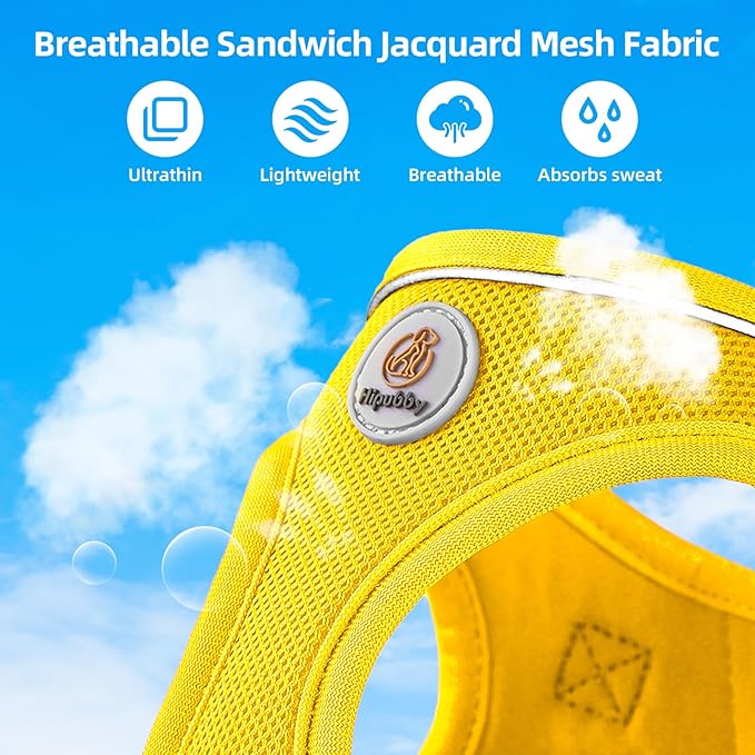 Hipubby Dog Harness and Leash Set, No Pull Soft Mesh Puppy Harness for Small Medium Dogs, Cats - Step in Reflective Breathable Lightweight Vest Harness for Walking, Training - Yellow, L