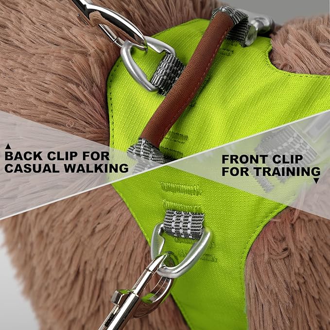 ApakBak No Pull Dog Harness – Adjustable Reflective Nylon Vest for Small Medium Large Dogs, Escape Proof Training Harness with Leather Control Handle, Lightweight Aluminum Hardware (Green, S)