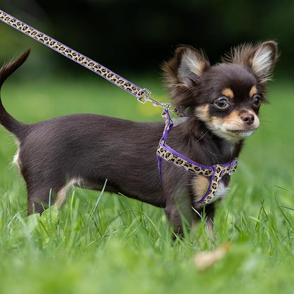 Mile High Life Leopard Dog Harness Collar Leash Set, Adjustable No Pull Dog Halter Harness for Small Breed Dogs, Easy Control for Training Walking (Purple, S Chest 11"-18", Neck 10"-14")