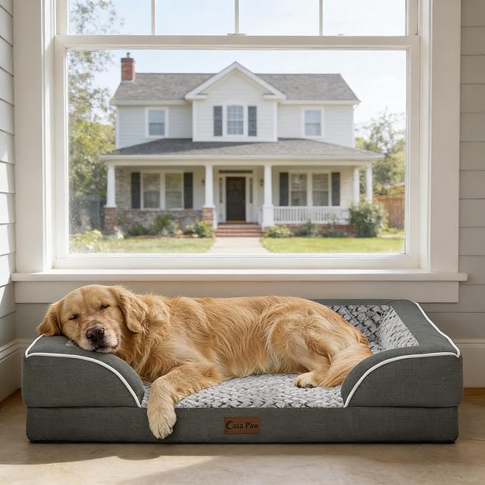 Casa Paw Orthopedic Dog Beds for Extra Large Sized Dogs, Waterproof Memory Foam XL Pet Bed with Sides 42x30Inch, Non-Slip and Egg-Crate Foam Big Dog Couch Bed with Removable Washable Cover, Dark Grey
