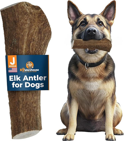 K9warehouse Natural Elk Antlers for Dogs - Premium Grade Dog Antler Chews - Long-Lasting Whole Deer Antles Ideal for Aggressive Chewers - Safe USA Sourced Chew for Medium and Large Dogs - 1 Pack