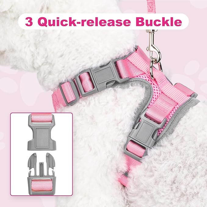 Small Dog Harness and Leash Set, No Pull Adjustable Pet Harness for Small Dogs, Breathable Mesh Rflective Dog Vest Harness (Pink, XS)