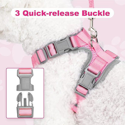 Small Dog Harness and Leash Set, No Pull Adjustable Pet Harness for Small Dogs, Breathable Mesh Rflective Dog Vest Harness (Pink, XS)