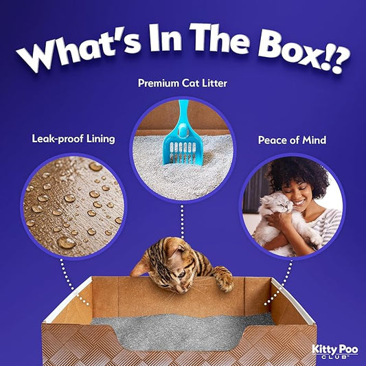 Leakproof Disposable 2-Pack Cat Litter Box with 2 Bags of 6 lbs Litters | Superior Odor Control & Recyclable Design | Perfect for Travel, Multi-Cat Homes & Daily Use — Kitty Poo Club