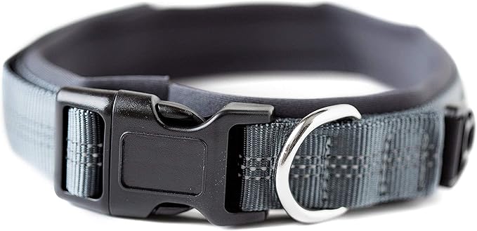 Mighty Paw Dog Collar - Neoprene Padded - Reflective for Running - Extra Comfort for Active Dogs - Lined and Strong Collar - Premium Quality for All Breeds - Soft