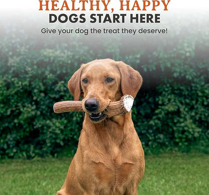 Alpha Dog Nutrition Elk Antler Chews (Large, Split)