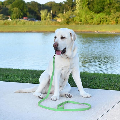 Dogline Biothane Waterproof Dog Leash Strong Coated Nylon Webbing with Black Hardware Odor-Proof Easy to Clean High Performance for Small or Large Dogs Made in USA 4 or 6 ft Lead, Sea Foam Green