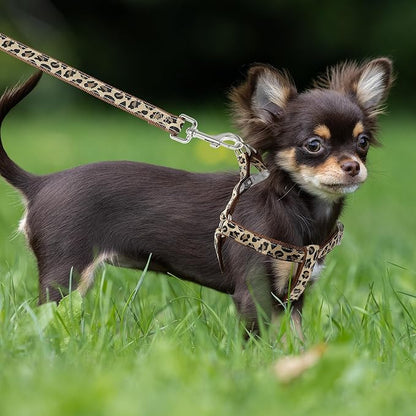 Mile High Life Leopard Dog Harness Collar Leash Set, Adjustable No Pull Dog Halter Harness for Small Breed Dogs, Easy Control for Training Walking (Brown, XS Chest 9"-15", Neck 8"-12")