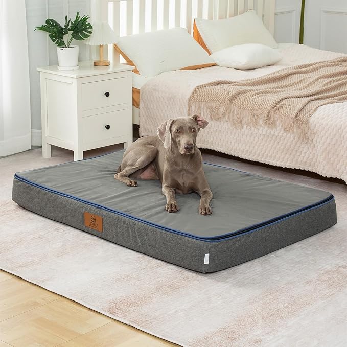 LIORCE Orthopedic Memory Foam Giant Dog Bed - 6" Thick Beds for Large Sized Dog - Waterproof Removable Washable Cover & Wrap-Around Zipper - Ultimate Comfort & Easy Maintenance, Dark Grey