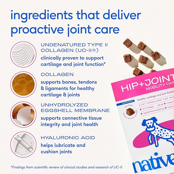 Native Pet Hip & Joint Supplement for Dogs - Advanced Dog Joint & Arthritis Supplement - Helps Maintain Healthy Cartilage, Joint Flexibility, Lubrication, & Function - with ESM & Collagen - 60 Chews