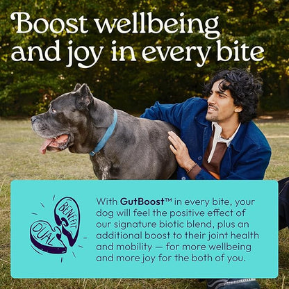 New! WellJoy Dog Supplement Joint+ GutBoost | Dog Health Supplement | Supports Healthy Flexible Joints | Dual-Benefit GutBoost Formulation | Vet Formulated | USA Made | Chicken Flavor | 90 Soft Chews