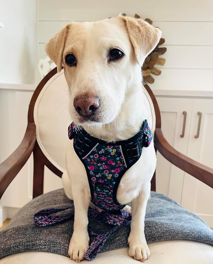 Lucky Love Dog No Pull Dog Harness, Adjustable and Easy to Walk, Cute Patterned Harness for Large Male & Female Dogs - Primrose, Large